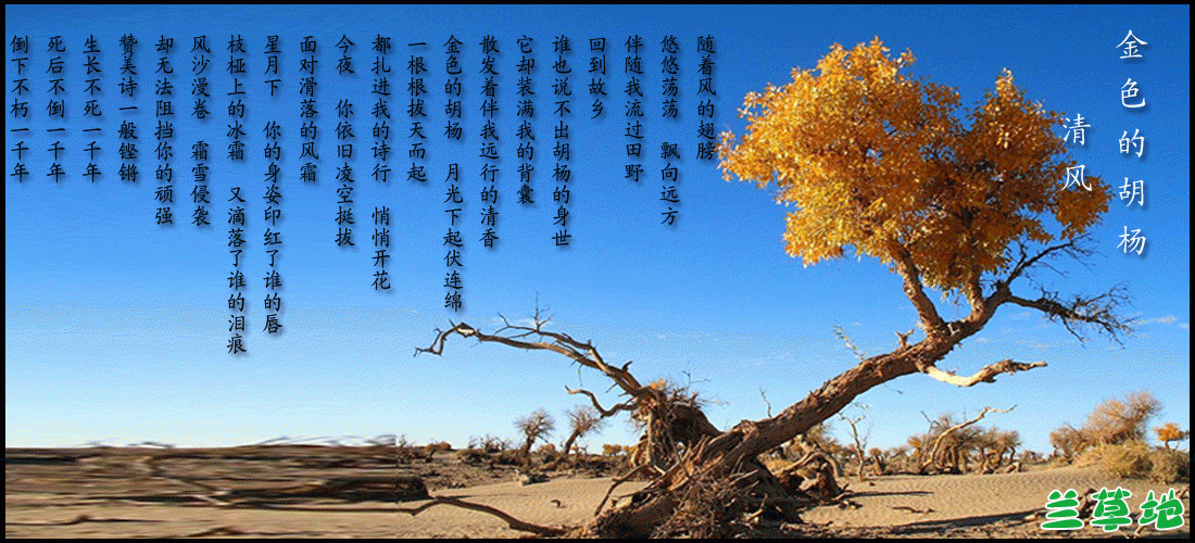 ɫĺ ɫ, ִʫ 092026v7pogoppwpwp7izw