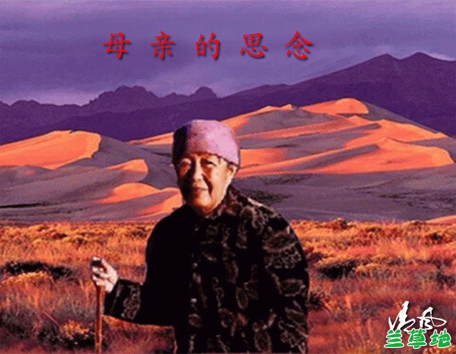 ĸ׵˼ ĸ,˼ ɢ 224053qcvwwvguvyjo1v4b