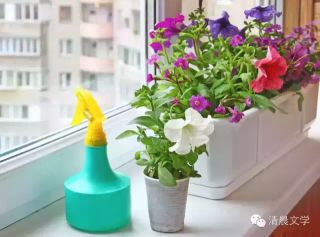    ɢ 000010yklxkdn6xmxddxzz