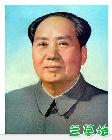 ΰ̡ ΰ ִʫ 191624rjjy9w9ygs41m3j4