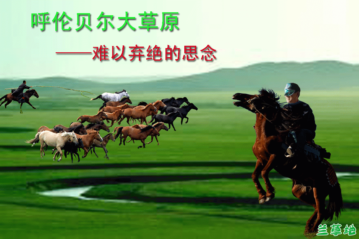 ԭ֮һ ױԭ˼ ԭ,֮һ,ױ,, ɢ 101301k2myozbkkb4ffg4x