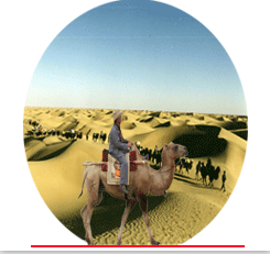 ߽Į ߽,Į ִʫ 074750bko2v9812wxc28wo