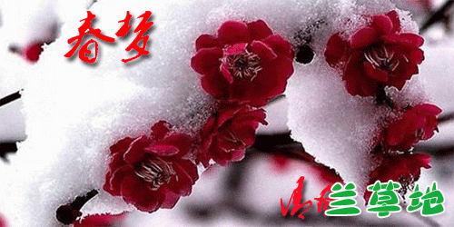   ִʫ 065757mzvnw8nenw6v8ven