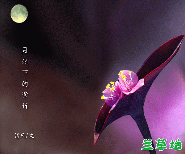 ¹µ ¹, ɢ 073040i5cn5c8cbc898899