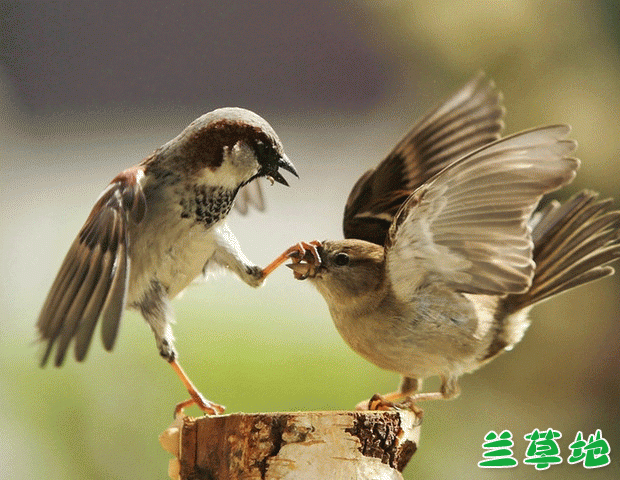 ȸ ȸ, ִʫ 062338ysv7572k6rr5r7b5