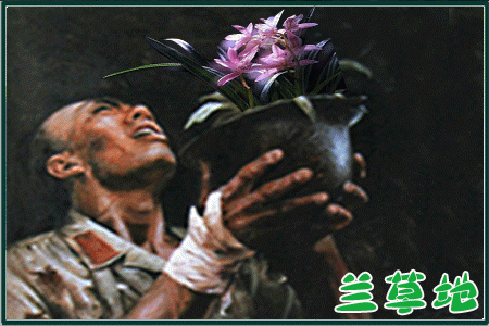 Ұɽ  ִʫ 065150zxcxs9zff8qqhf1x