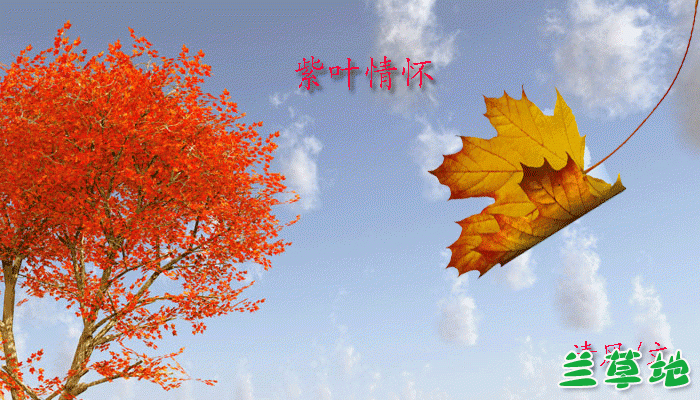 Ҷ黳  ɢ 072640y6sf0ffs006mt80i