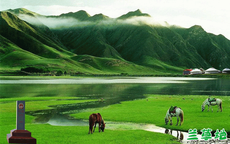 ԭ֮ ԭ,֮,, ɢ 055607iqxj7fsfoqfljxzf