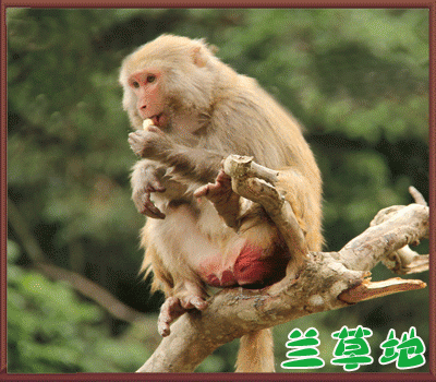 ˵  ִʫ 082205ll0j0bz6naaewmbb