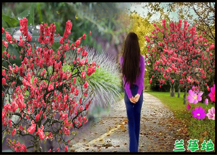     ۺɫ,˪,,λ,ξ ɢ 081754otfdp9dzdrqyzzqq