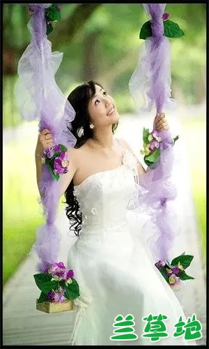 ǧҥ ǧ ִʫ 073738fxv44bzb4qib47xv