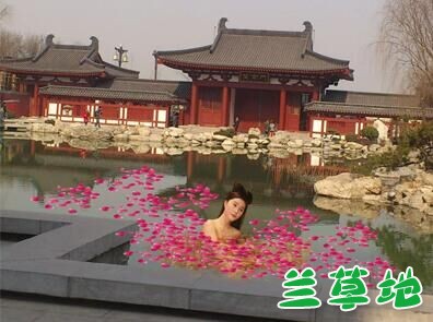 ǡҹ޻  Ͻ 091931jigrkrsuedremdzt