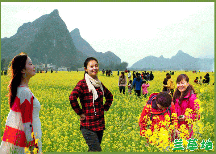 ǡͲ˻ Ͳ˻ ɢ 083227a5r89w6m9mz58899