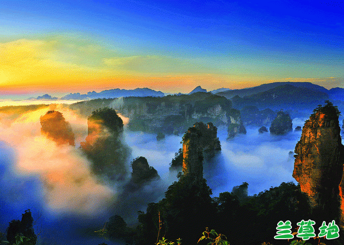 ǡżҽ żҽ ɢ 063309oz2vlt1nflf88l1c