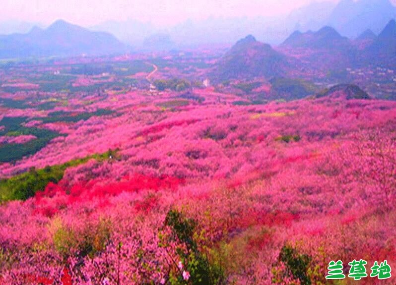 ǡȪһӳɽ Ȫ,ӳɽ ɢ 080310ker3fo9asid3y5iu