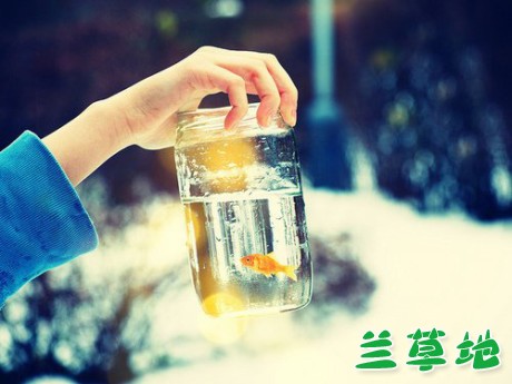 ƻ ƻ ƪС˵ 130203mj4ffwhfzj46s222