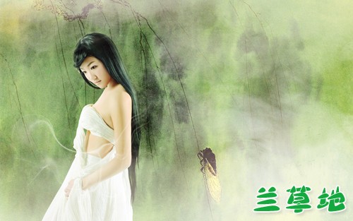 ͷŪ ˮ ͷ,ˮ ɢ 105556fyp9q3xzq3gr1g53