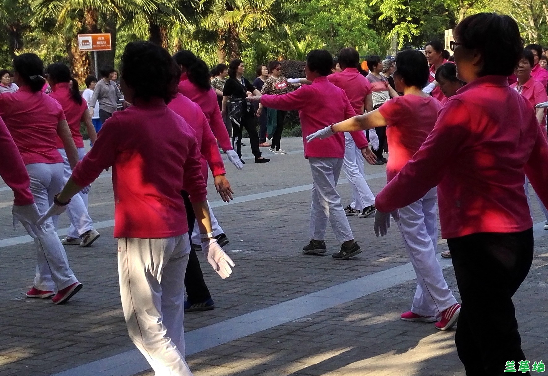 ̶߽ ߽ ִʫ 084425gp0zup5tj6httjjg