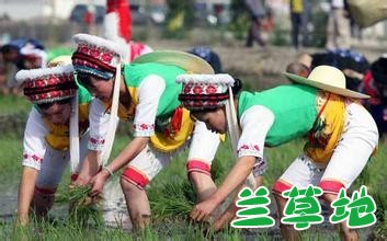 ˮũ֮һ ˮ,ũ,֮һ,, ɢ 165216hrj699jtizdimeb0