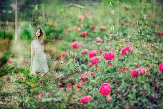 ˼ ˼ ִʫ 165436jqdzfvofv70ixr66