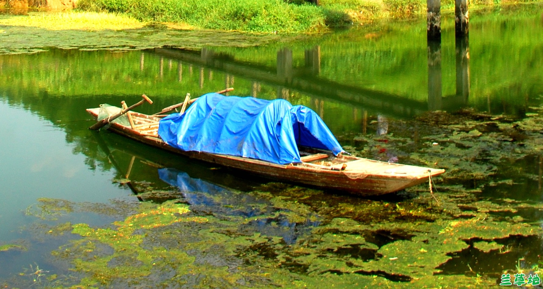 Ư Ư ִʫ 152347fc0m0zei685fqfzg