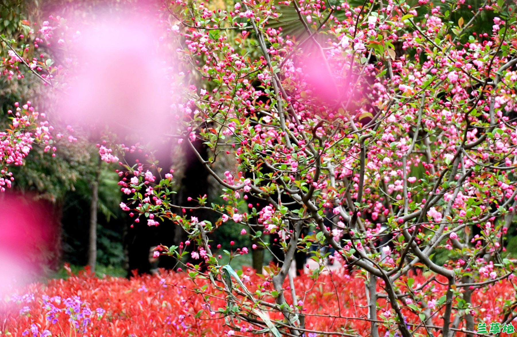 ȥһ  ִʫ 093832saszie3xldi4is6h