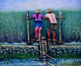 ˮṳ֮̃ ˮ,ũ,֮, ɢ 175659abo2co1sdsqpl20d