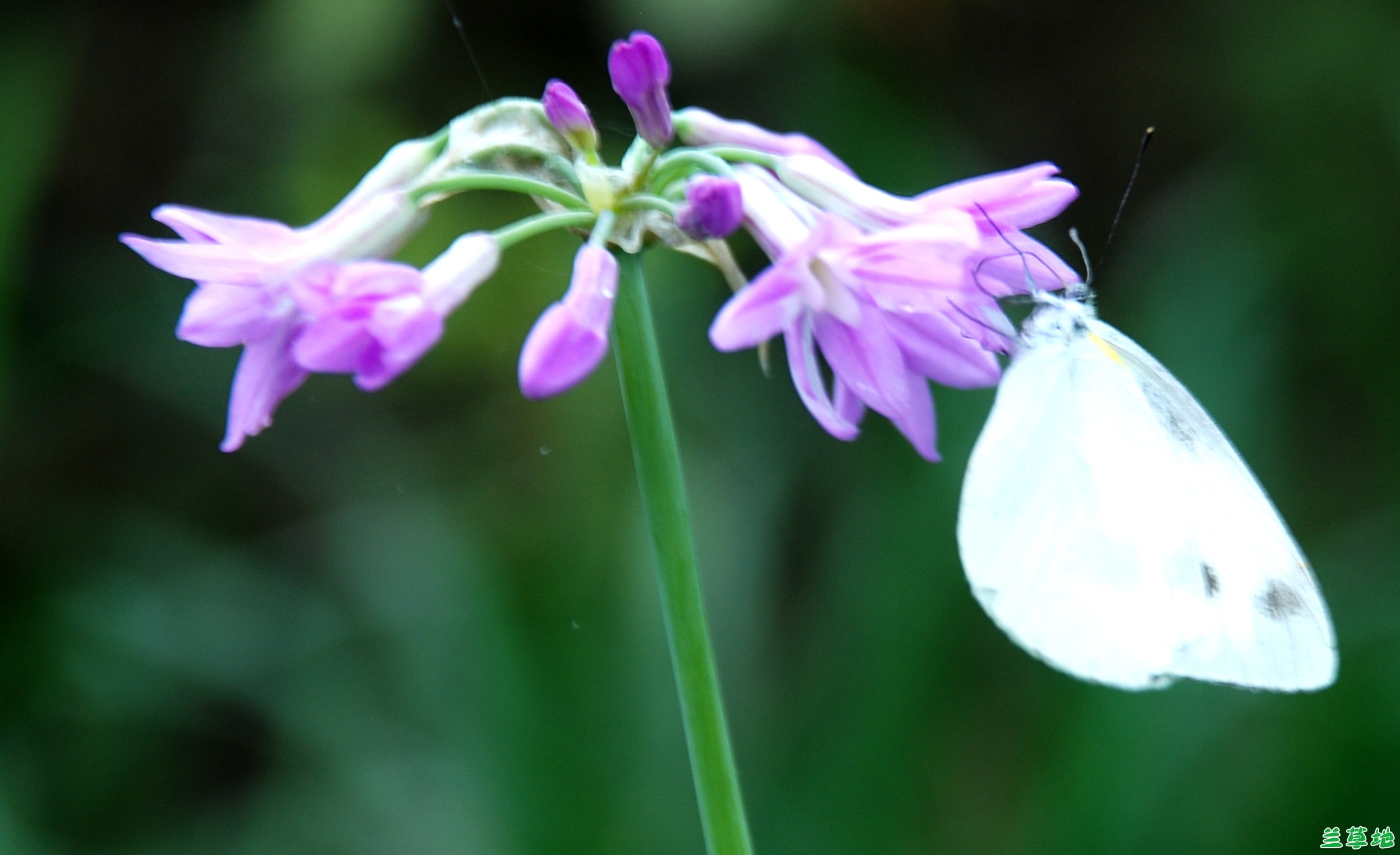  , ִʫ 124218y44z48ihdx4hukf7