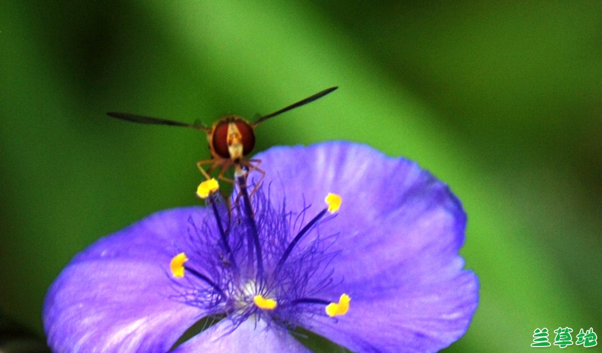  , ִʫ 124243klpi60dd96l6upip