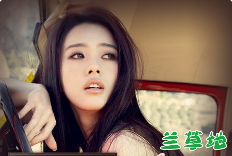 ɫ  ƪС˵ 110449myllp1gmqzfp1yf1