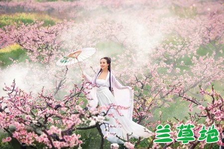   ,ۺ,ƽ,,۾ ɢ 181537y7ff7xx6k7656hx6