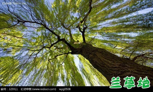   ִʫ 112856y6bogecm7oqjioee