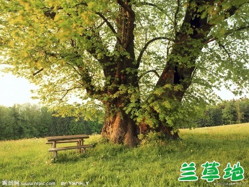   ִʫ 112902b3l6nb6jhpui263c