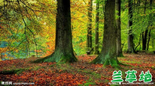   ִʫ 112923h04ej16bpj0qdi6d