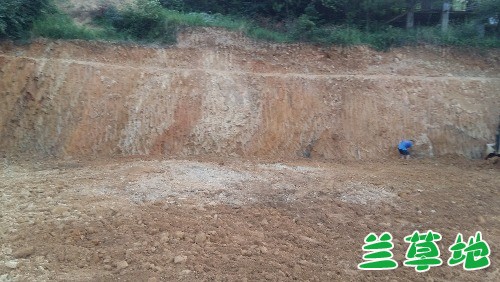 ˽ͥԺߣ̴彨· ,· Ͻ 193311qup85bgjx0aa49e8