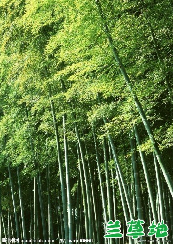 ӽ  ִʫ 162109rdqi3aeivazexjb0