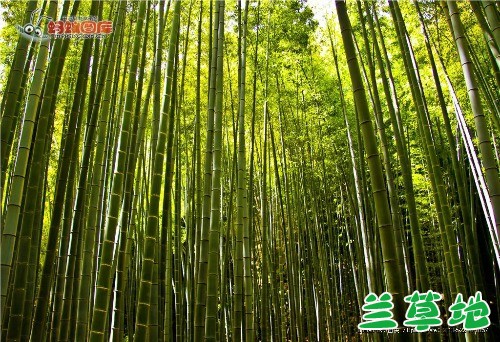 ӽ  ִʫ 162127lcw063c9zu666p6t