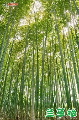 ӽ  ִʫ 162148ypf2lazkpc2ikefk