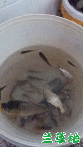 Ͱ㡷  Ͻ 181731lrwjpuuy1vdnbezm