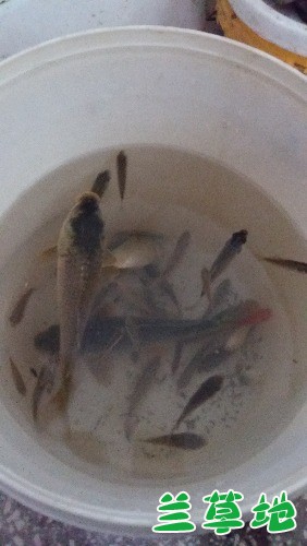 Ͱ㡷  Ͻ 181740jt9oqncrn1wrac7d