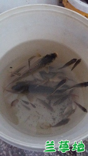 Ͱ㡷  Ͻ 181749xn5wnymiyo4ezz7t