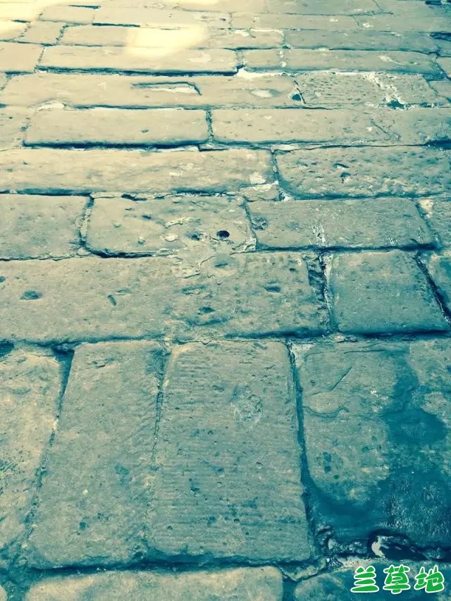 С С ִʫ 090633julzvsgiuql9mgln