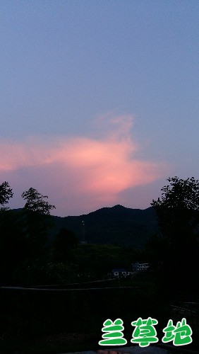 ƻ ƻ ִʫ 142320ptmammzk1csm2xxs