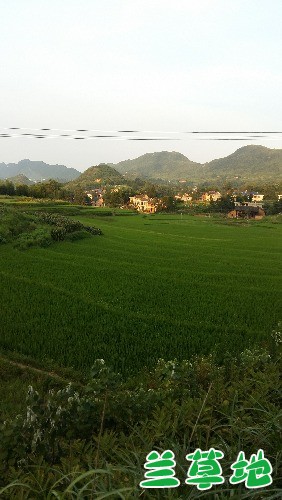 µĹ µ, ִʫ 170315yo87vbkskvkkz2kv