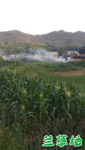 µĹ µ, ִʫ 170327hd38d8zlueulcbe6