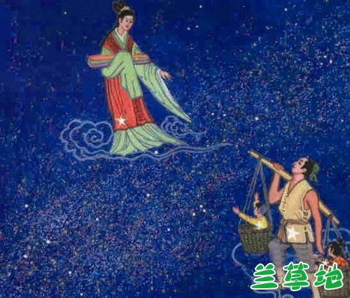 ȵɡ֯Ů ȵ,֯Ů Ͻ 164305enysi202x0rgg22g