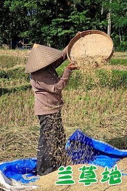 ũ ũ Ͻ 185455zvga6nenvz0ha00d