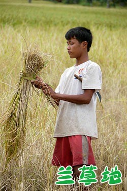 ũ ũ Ͻ 185502chcyhdbbc7hl7ee7