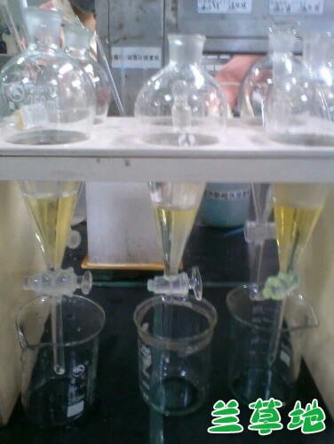 ۶.ף//ɬӰ ۶,ף Ͻ 