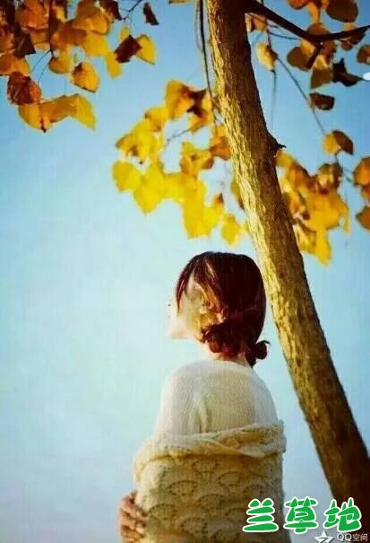 졷------ ,, ִʫ 172116oghdd1b3dbwkk13e